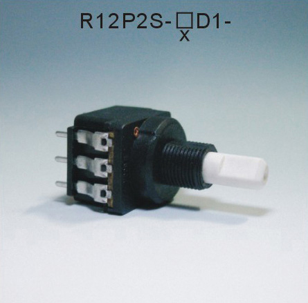 R12P2S-口D1-