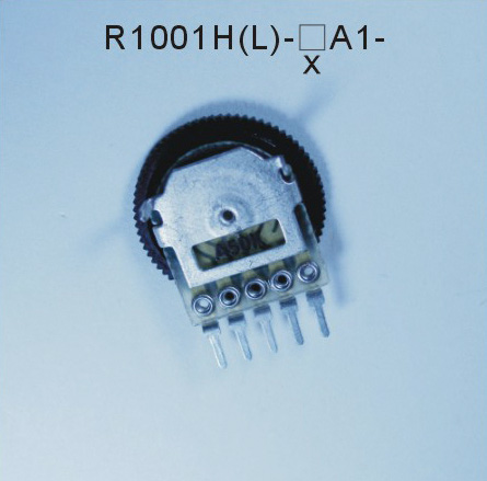 R1001H(L)-口A1-