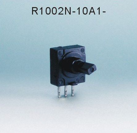 R1002N-10A1-