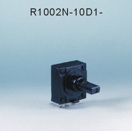 R1002N-10D1-