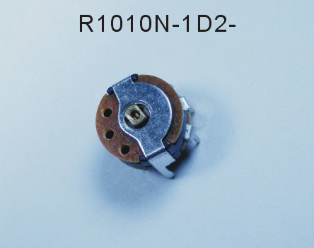 R1010N-1D2-