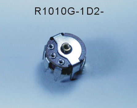 R1010G-1D2-