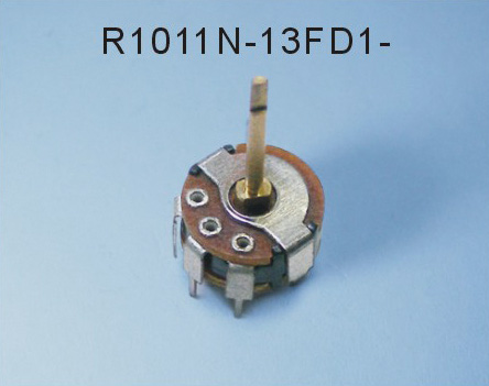 R1011N-13D1-