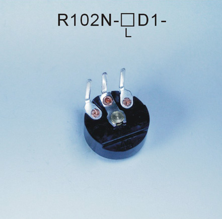 R102N-口D1-