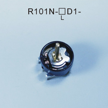 R101N-口D1-